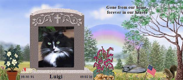 Luigi's Rainbow Bridge Pet Loss Memorial Residency Image