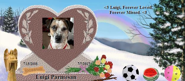 Luigi Parmesan's Rainbow Bridge Pet Loss Memorial Residency Image