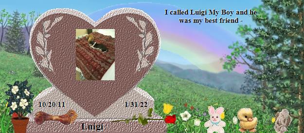 Luigi's Rainbow Bridge Pet Loss Memorial Residency Image