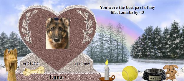 Luna's Rainbow Bridge Pet Loss Memorial Residency Image