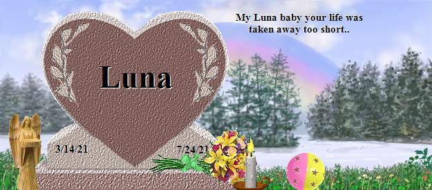 Luna's Rainbow Bridge Pet Loss Memorial Residency Image