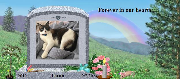 Luna's Rainbow Bridge Pet Loss Memorial Residency Image