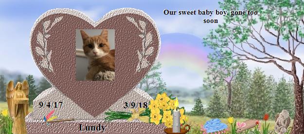 Lundy's Rainbow Bridge Pet Loss Memorial Residency Image
