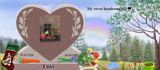 Lusti's Rainbow Bridge Pet Loss Memorial Residency Image