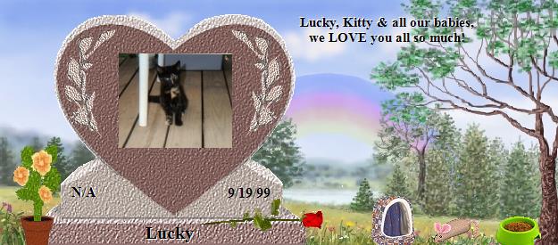 Lucky's Rainbow Bridge Pet Loss Memorial Residency Image