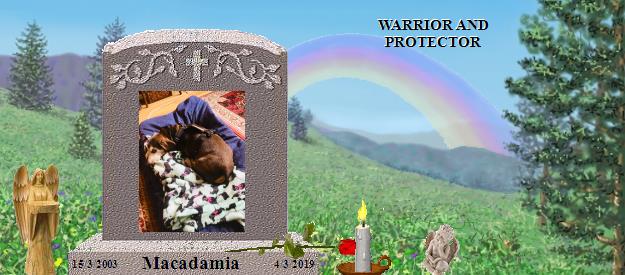 Macadamia's Rainbow Bridge Pet Loss Memorial Residency Image