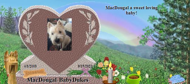 MacDougal-BabyDukes's Rainbow Bridge Pet Loss Memorial Residency Image