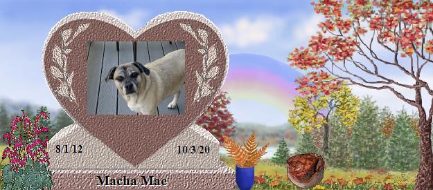 Macha Mae's Rainbow Bridge Pet Loss Memorial Residency Image