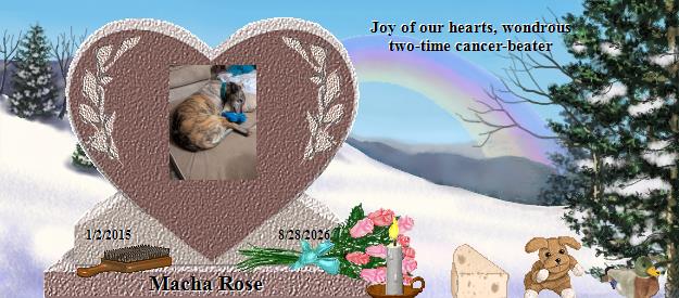 Macha Rose's Rainbow Bridge Pet Loss Memorial Residency Image