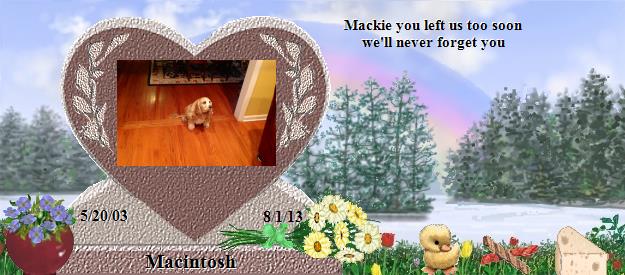 Macintosh's Rainbow Bridge Pet Loss Memorial Residency Image