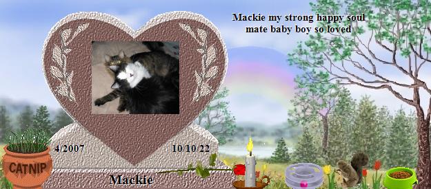 Mackie's Rainbow Bridge Pet Loss Memorial Residency Image