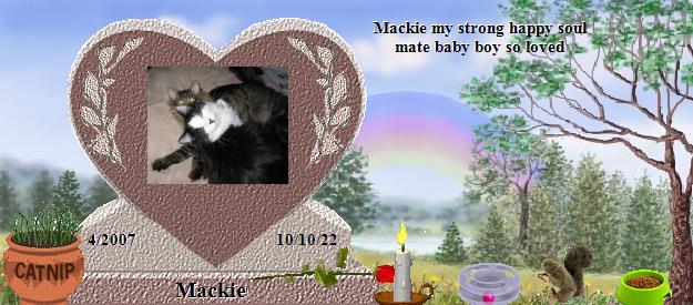 Mackie's Rainbow Bridge Pet Loss Memorial Residency Image