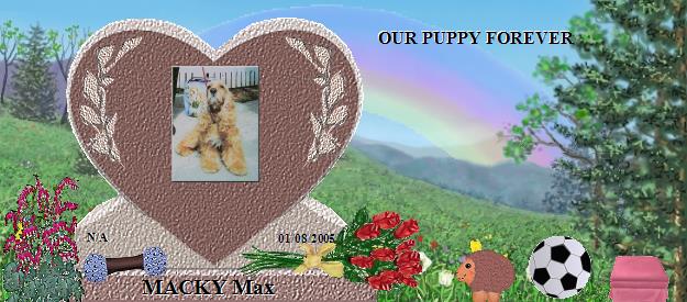 MACKY Max's Rainbow Bridge Pet Loss Memorial Residency Image