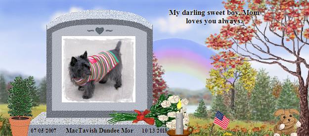 MacTavish Dundee Mor's Rainbow Bridge Pet Loss Memorial Residency Image