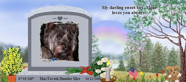 MacTavish Dundee Mor's Rainbow Bridge Pet Loss Memorial Residency Image