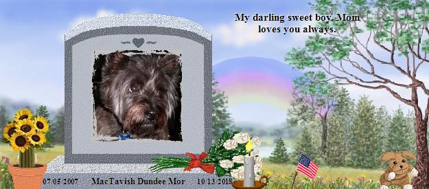 MacTavish Dundee Mor's Rainbow Bridge Pet Loss Memorial Residency Image