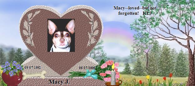 Macy J.'s Rainbow Bridge Pet Loss Memorial Residency Image