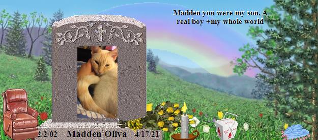 Madden Oliva's Rainbow Bridge Pet Loss Memorial Residency Image