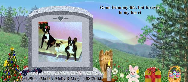 Maddie, Molly & Macy's Rainbow Bridge Pet Loss Memorial Residency Image