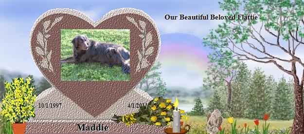 Maddie's Rainbow Bridge Pet Loss Memorial Residency Image