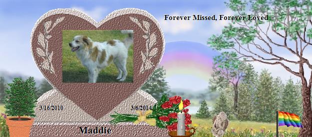 Maddie's Rainbow Bridge Pet Loss Memorial Residency Image