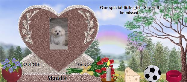 Maddie's Rainbow Bridge Pet Loss Memorial Residency Image