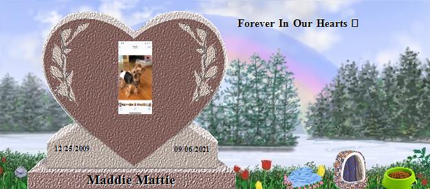 Maddie Mattie's Rainbow Bridge Pet Loss Memorial Residency Image