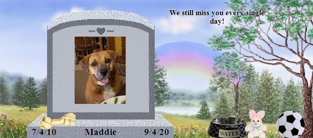 Maddie's Rainbow Bridge Pet Loss Memorial Residency Image