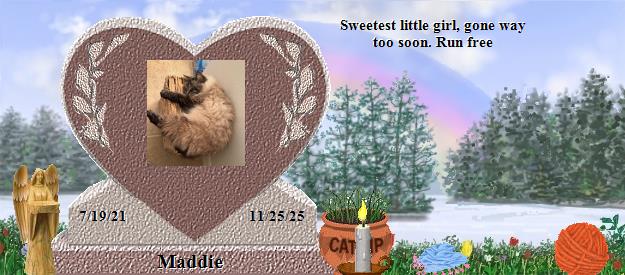 Maddie's Rainbow Bridge Pet Loss Memorial Residency Image