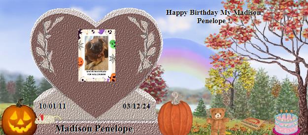 Madison Penelope's Rainbow Bridge Pet Loss Memorial Residency Image