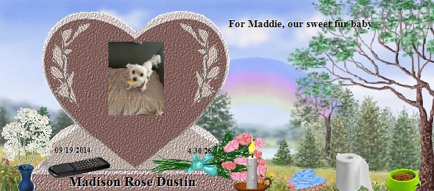 Madison Rose Dustin's Rainbow Bridge Pet Loss Memorial Residency Image