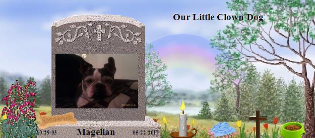 Magellan's Rainbow Bridge Pet Loss Memorial Residency Image