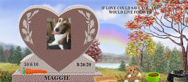 MAGGIE's Rainbow Bridge Pet Loss Memorial Residency Image