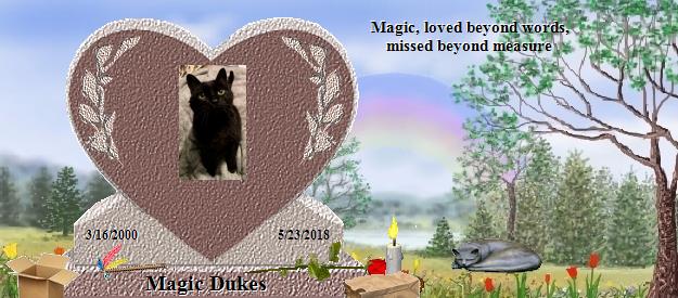 Magic Dukes's Rainbow Bridge Pet Loss Memorial Residency Image