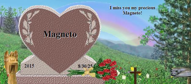 Magneto's Rainbow Bridge Pet Loss Memorial Residency Image