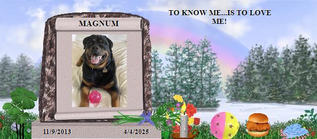 MAGNUM's Rainbow Bridge Pet Loss Memorial Residency Image