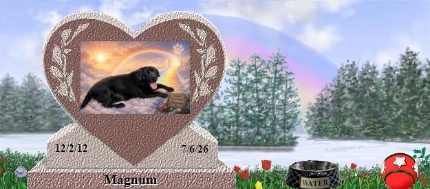 Magnum's Rainbow Bridge Pet Loss Memorial Residency Image
