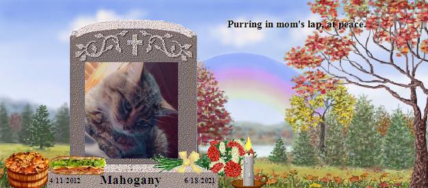 Mahogany's Rainbow Bridge Pet Loss Memorial Residency Image