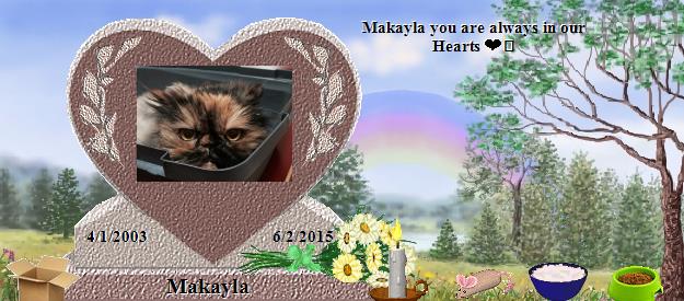 Makayla's Rainbow Bridge Pet Loss Memorial Residency Image