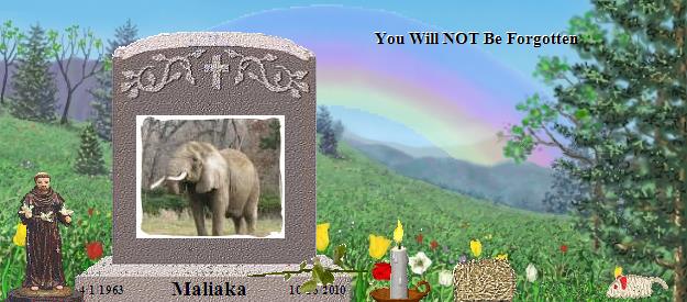 Maliaka's Rainbow Bridge Pet Loss Memorial Residency Image
