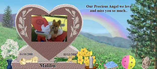 Malibu's Rainbow Bridge Pet Loss Memorial Residency Image