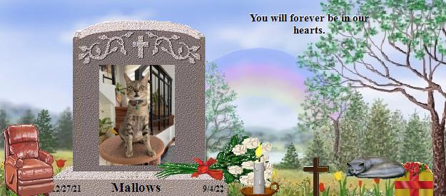 Mallows's Rainbow Bridge Pet Loss Memorial Residency Image