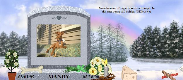 MANDY's Rainbow Bridge Pet Loss Memorial Residency Image