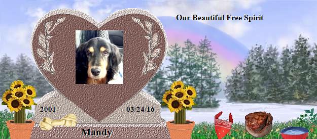 Mandy's Rainbow Bridge Pet Loss Memorial Residency Image