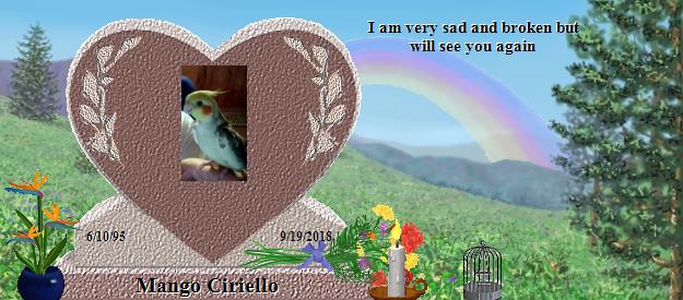 Mango Ciriello's Rainbow Bridge Pet Loss Memorial Residency Image