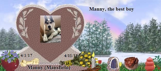 Manny (Mansfield)'s Rainbow Bridge Pet Loss Memorial Residency Image