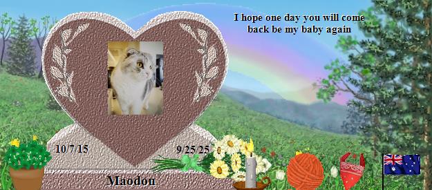 Maodou's Rainbow Bridge Pet Loss Memorial Residency Image