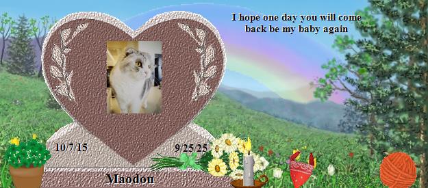 Maodou's Rainbow Bridge Pet Loss Memorial Residency Image