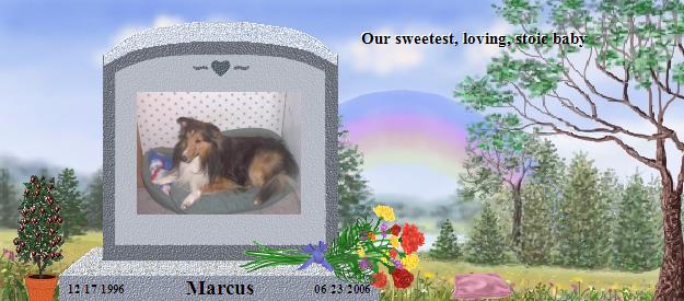 Marcus's Rainbow Bridge Pet Loss Memorial Residency Image