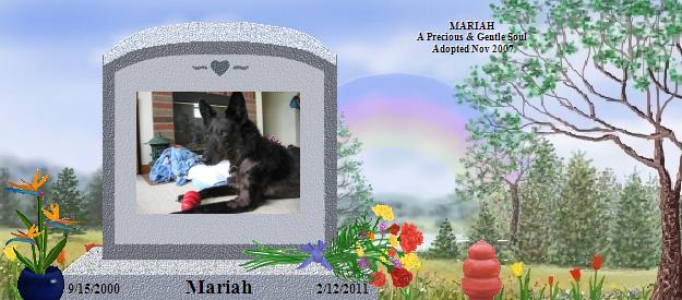 Mariah's Rainbow Bridge Pet Loss Memorial Residency Image